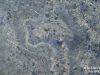 Granite Colors Phoenix blue persian 2cm